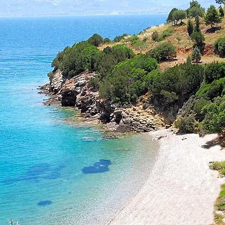 Drymna 2*